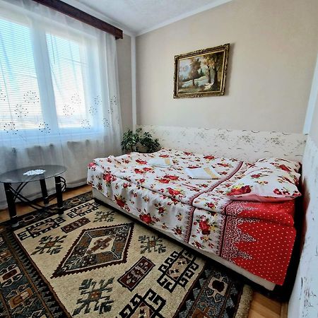Sabina Apartment Сигишоара Экстерьер фото