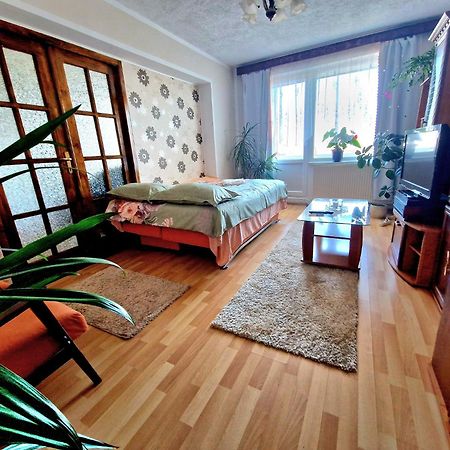 Sabina Apartment Сигишоара Экстерьер фото