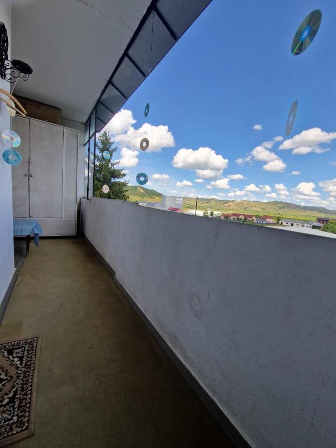 Sabina Apartment Сигишоара Экстерьер фото